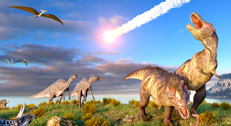 دراسة جديدة تدحض النظرية الشائعة عن سبب انقراض الديناصورات قبل 66 مليون عام
