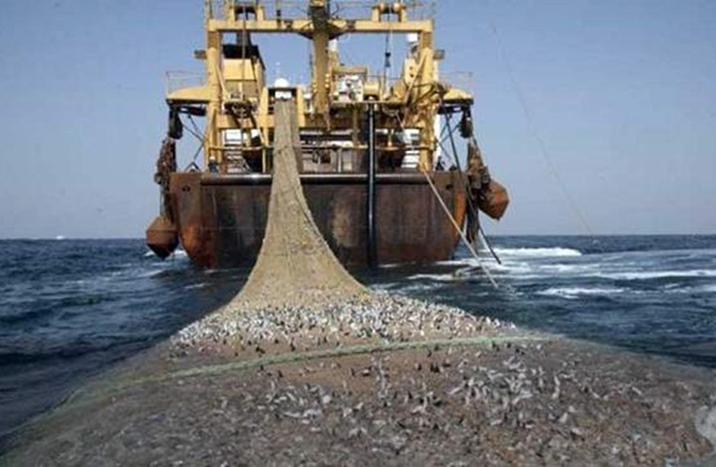 الحكومة توافق على اتفاق التعاون الموقع بين المغرب وروسيا في الصيد البحري
