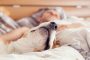 دراسة : النوم مع كلبك المدلّل مريح أكثر من مشاركة السرير مع إنسان !