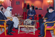 الملك يستقبل وزير الخارجية والتعاون الدولي الإماراتي