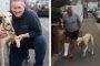 رجل ينفق أكثر من 400 دولار على كلبه المريض ليكتشف أنه يقلد مشيته