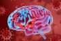 تأثير كوفيد-19 على الدماغ يثير ذهول العلماء