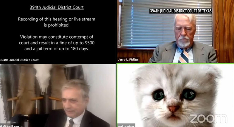 محامي يتحول إلى قطة أثناء جلسة محاكمة 'أون لاين' (فيديو)