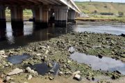 جدل تلوث مياه وادي أبي رقراق يصل قبل البرلمان