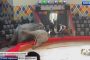 واقعة مأساوية.. فيل يهاجم موظفا في سيرك قازان (فيديو)