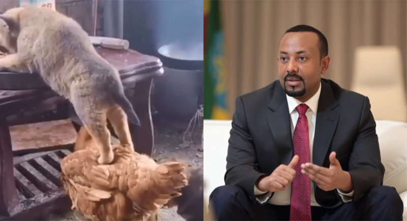 فيديو غريب لرئيس وزراء إثيوبيا على تويتر يخلق تساؤلات