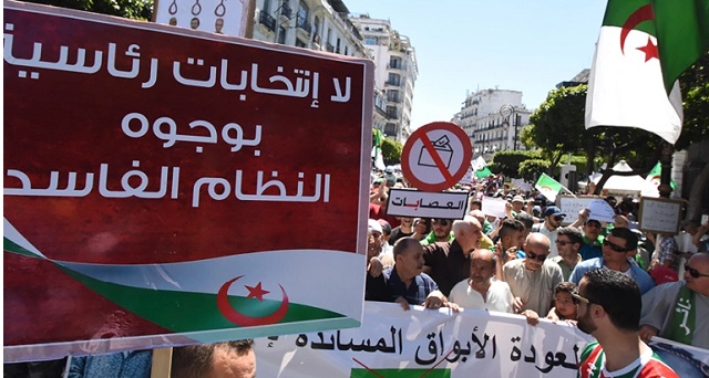 خبراء دوليون.. الانتخابات الجزائرية لن تسفر عن أي تغيير في البلاد