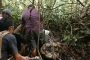 معركة شرسة بين ثعبان ضخم ومجموعة من الرجال في إندونيسيا (فيديو)