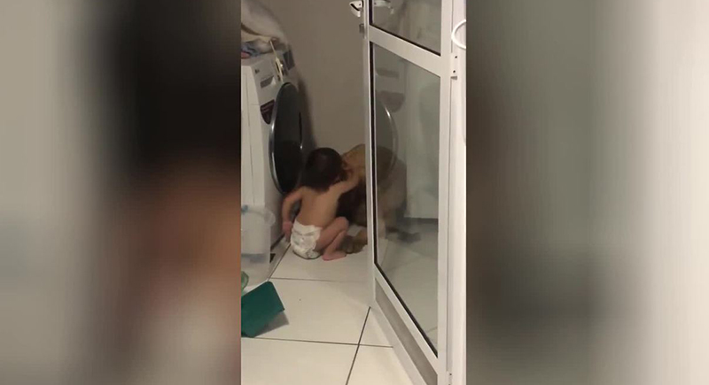 طفل وكلب يثيران دموع مستخدمي الإنترنت بعد عناق حار (فيديو)