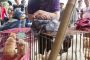 محاولات لوقف مهرجان سنوي في الصين: 5000 كلب مذبوح جاهز للبيع
