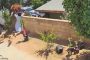 امرأة تنقض على دب دفاعا عن كلابها (فيديو)