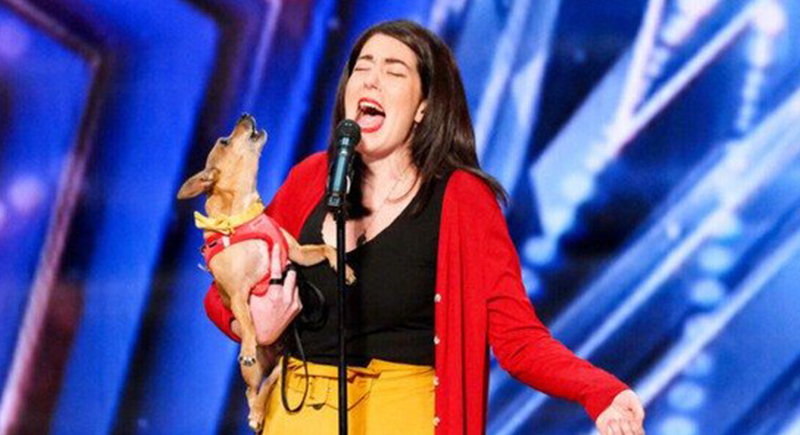 فيديو يكشف موهبة كلب بالغناء: شارك في برنامج أمريكي شهير