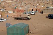 البعمري.. اعتقال الجيش الجزائري لصحراويين حاولوا الفرار من المخيمات انتهاك لحقوق الإنسان