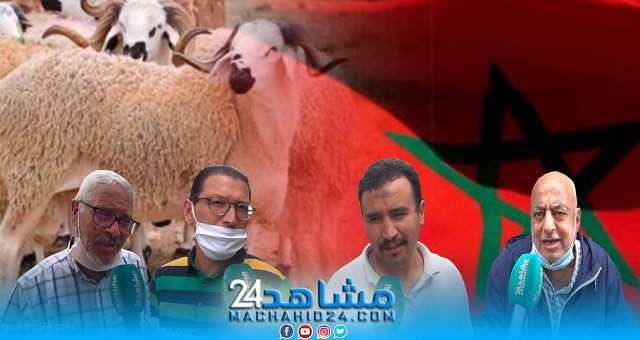 بالفيديو.. مع اقتراب عيد الاضحى.. مغاربة: 