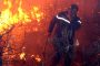 الجزائر.. وفاة 25 جنديا في الحرائق شمال البلاد