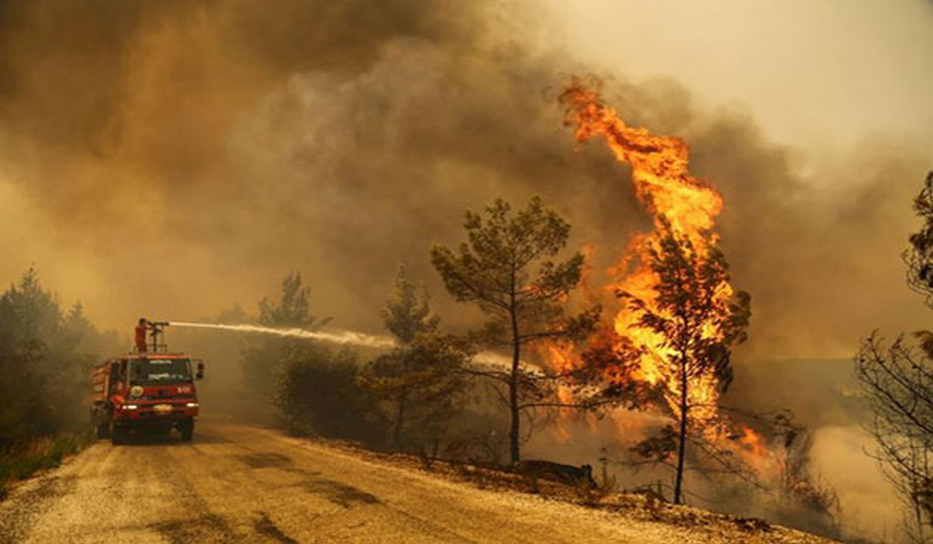 الملك محمد السادس يعلن استعداده لمساعدة الجزائر في مكافحة حرائق الغابات