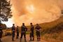 شفشاون: السيطرة على حريق غابة 