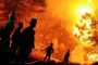 دراسة أمريكية تكشف علاقة حرائق الغابات بإصابات ووفيات ''كوفيد 19''