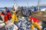 وزير إسباني: نرغب في استمرار اتفاقية الصيد البحري مع المغرب