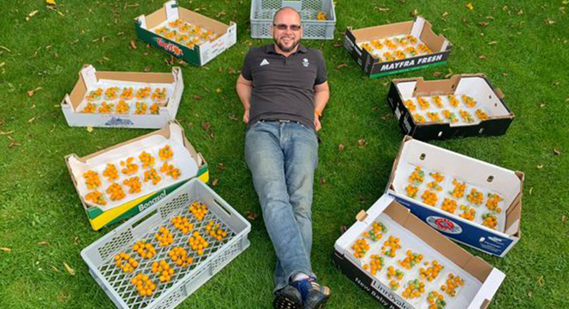 مزارع يحصد 839 ثمرة طماطم من ساق واحدة (صور)