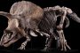 له 3 قرون وعمره 67 مليون سنة.. ديناصور ضخم للبيع مقابل 1.8 مليون دولار