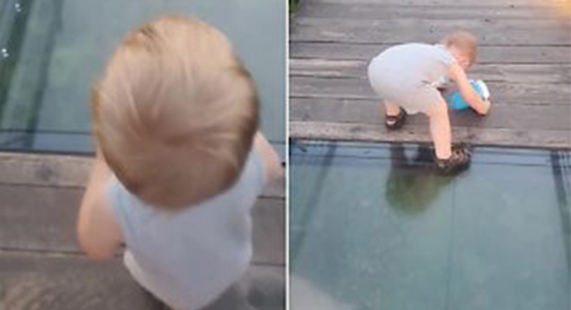 رد فعل طريف لرضيع أثناء السير فوق جسر زجاجي (فيديو)