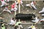 وفاة رجل في مهرجان لمطاردة الثيران في إسبانيا