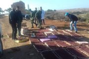 الجيش المغربي يحبط محاولة تهريب 5000 طائر من نوع 