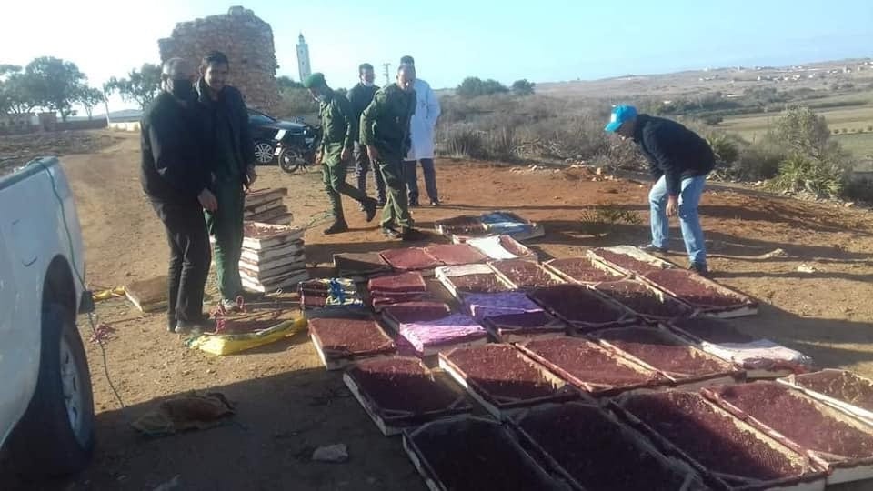 الجيش المغربي يحبط محاولة تهريب 5000 طائر من نوع 