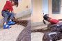 طفلة صغيرة تلعب مع ثعبان مرعب دون خوف (فيديو)