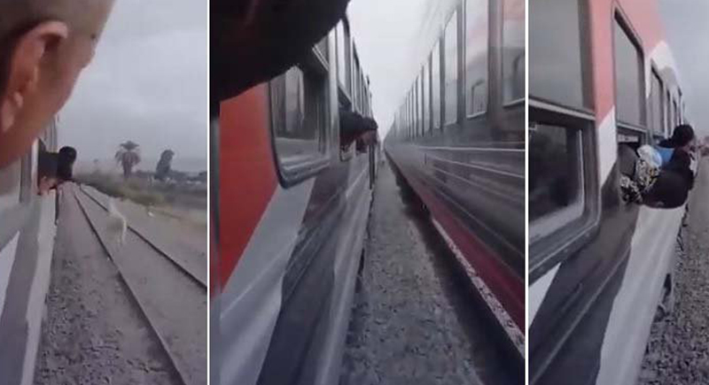 حصان ينجو بأعجوبة من بين قطارين متقابلين في مصر (فيديو) | مشاهد 24