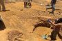 موريتانيا: العثور على منقب بعد 4 أيام من انهيار بئر عليه