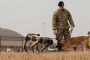 كلاب روبوت لحراسة الحدود الأمريكية! (فيديو)