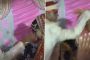 اشتباك بالأيدي بين عروسين في الهند بسبب قطعة حلوى (فيديو)