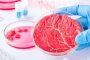 نجاح أول مشروع لإنتاج اللحوم المستنبتة بالمختبر في اليابان