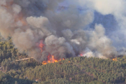 اندلاع حريق في غابة بإقليم شفشاون وجهود متواصلة لتطويقه
