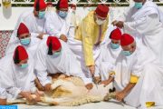 الملك يؤدي صلاة العيد وينحر الأضحية وفق تدابير مواجهة ''كورونا''