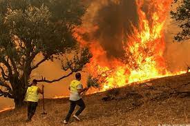 رقم مهول.. تسجيل 118 حريقا بالجزائر خلال يوم واحد