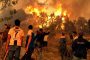 الحرائق تعود لمحاصرة غابات الجزائر وتخلف خسائر جسيمة