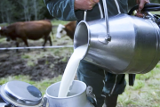 لتدارك نقص الحليب.. وزير الفلاحة يعلن عن إجراءات هامة