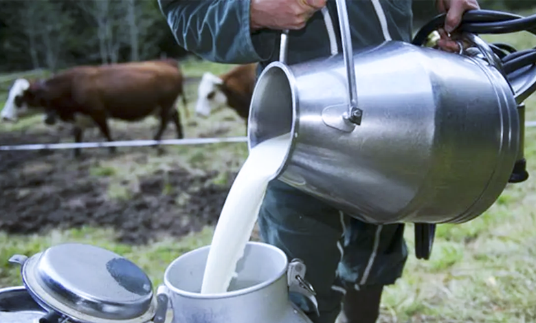 لتدارك نقص الحليب.. وزير الفلاحة يعلن عن إجراءات هامة