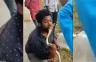 شاب هندي حاول تقبيل أفعى سامة والنتيجة غير متوقعة (فيديو)