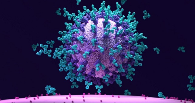كورونا عبر العالم.. منشأ الفيروس يخلق الجدل بين منظمة الصحة والصين