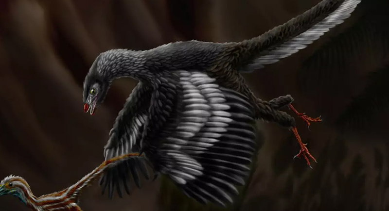 اكتشاف بقايا حيوان يثير الجدل.. بجمجمة ديناصور وهيكل عظمي خاص بالطيور