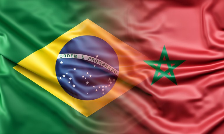 مجلس النواب البرازيلي يصادق على اتفاقية تعاون في مجال الدفاع مع المغرب