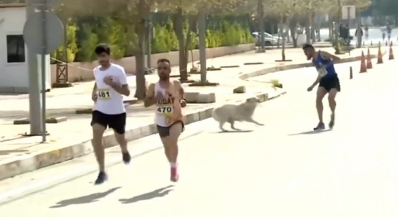 كلب شارد يطارد المتسابقين في ماراثون بالعراق (فيديو)