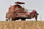 وزارة الفلاحة تتوقع ارتفاع محاصيل الحبوب إلى 55.1 مليون قنطار