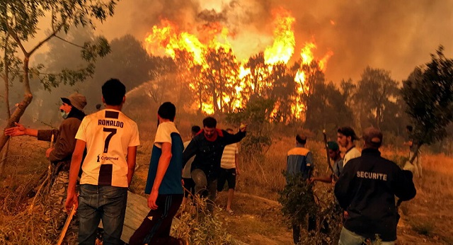 حرائق الغابات بالجزائر