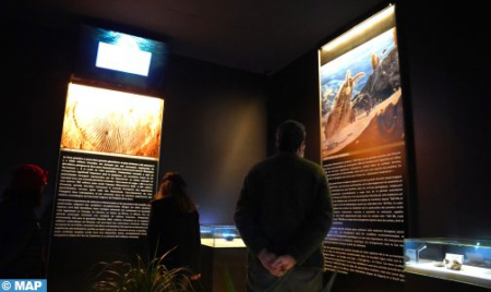 المعرض الدولي الأول للتراث الأحفوري