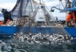 المغرب واليابان عازمان على تعزيز تعاونهما في مجال الصيد البحري وتربية الأحياء المائية